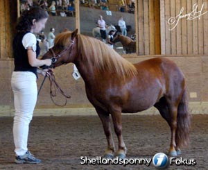 Foto: Jenny Staaf