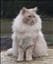 Elinor